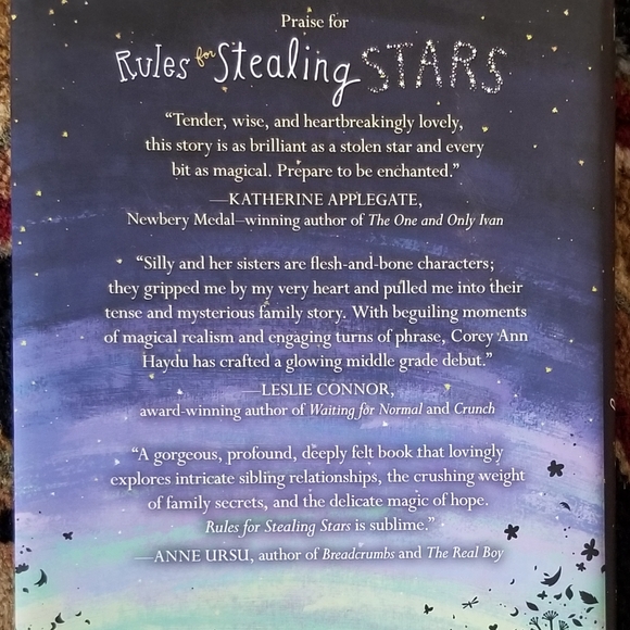 Book - Rules for Stealing Stars (young adult) - Picture 3 of 8